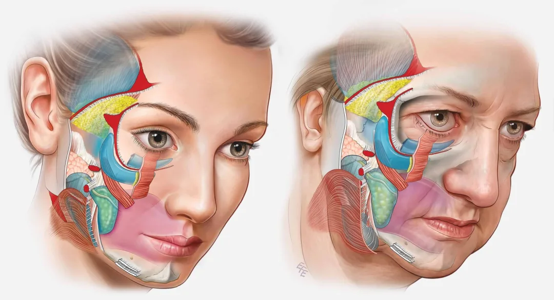 Before and after — Dr. Chin Ho Wong