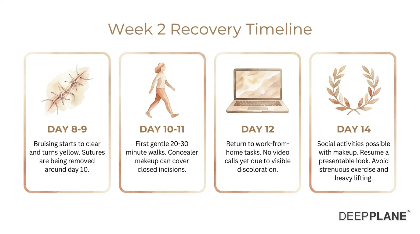 Week 2 facelift recovery showing daily progress from suture healing through bruising fading to social readiness by day 14