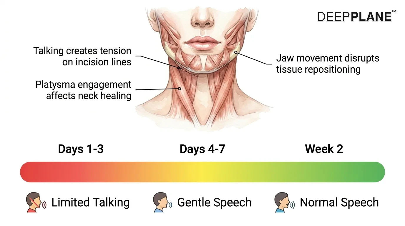 Why to limit talking after facelift: facial muscles create tension on sutures, jaw movement disrupts tissue healing, platysma affects neck recovery