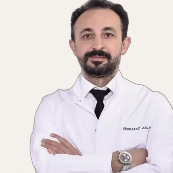 Ayaz Aslan